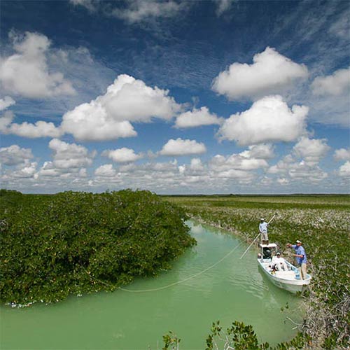 New Saltwater Fly Fishing Tackle