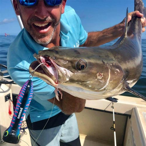 Popping Lures