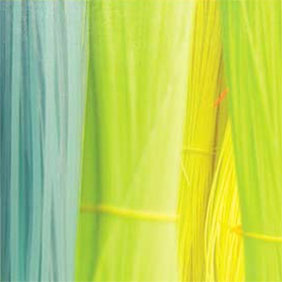 Saltwater Fly Line Backing