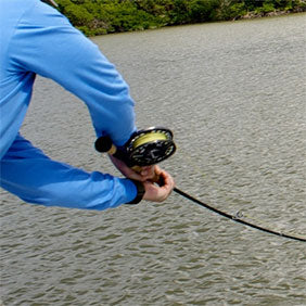 Saltwater Fly Fishing Reels