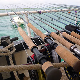 Saltwater Fly Fishing Rods