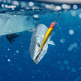 Used Second Hand Fishing Gear