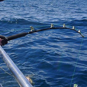 Used Second Hand Fishing Rods