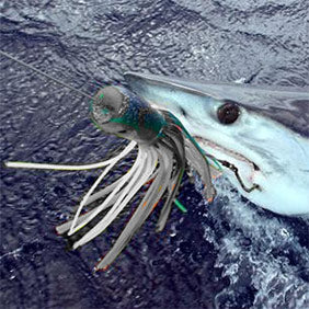 Shark Fishing Lures