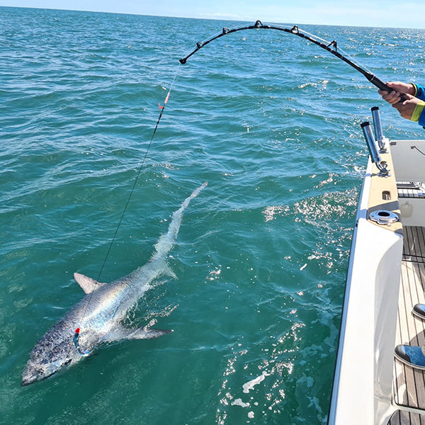 Shark Fishing Rods