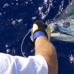 Shark Fishing Gloves