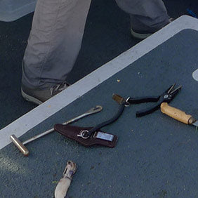 Shark Fishing Tools & Accessories