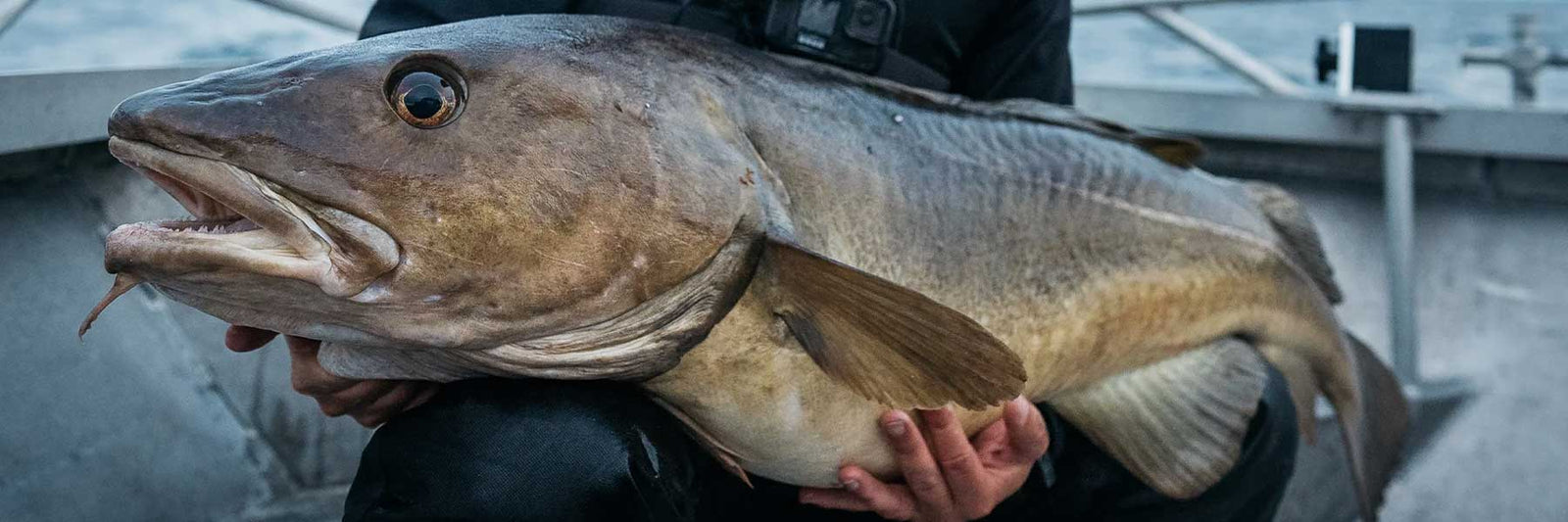 Boat Fishing Tackle, Gear & Equipment