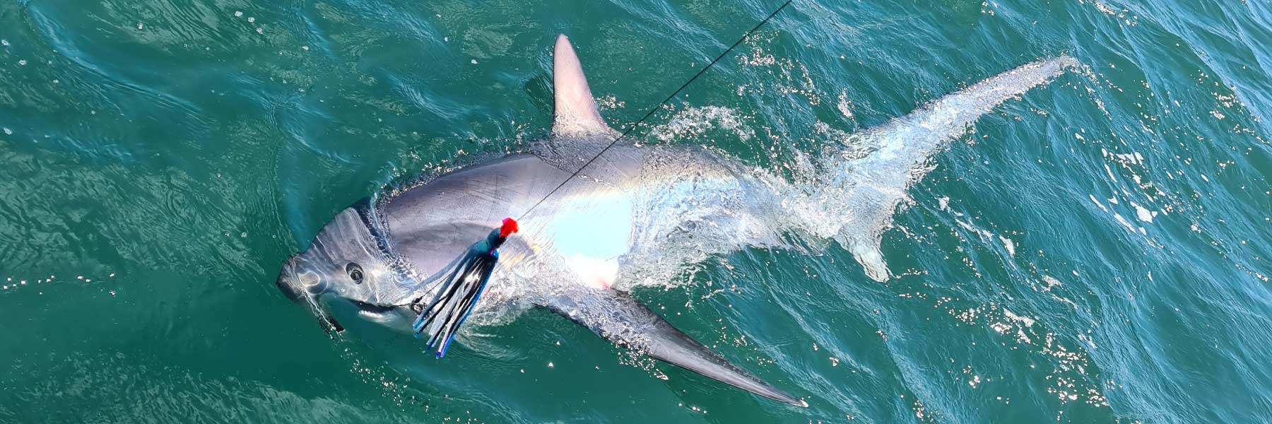 Shark fishing toy deals