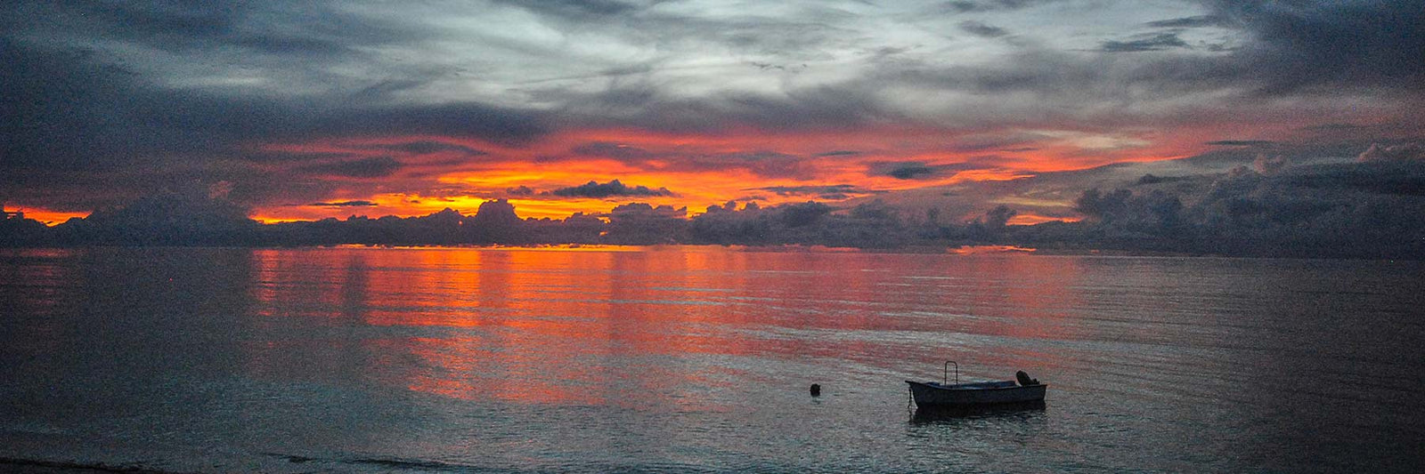 Shop by Fishing Brand