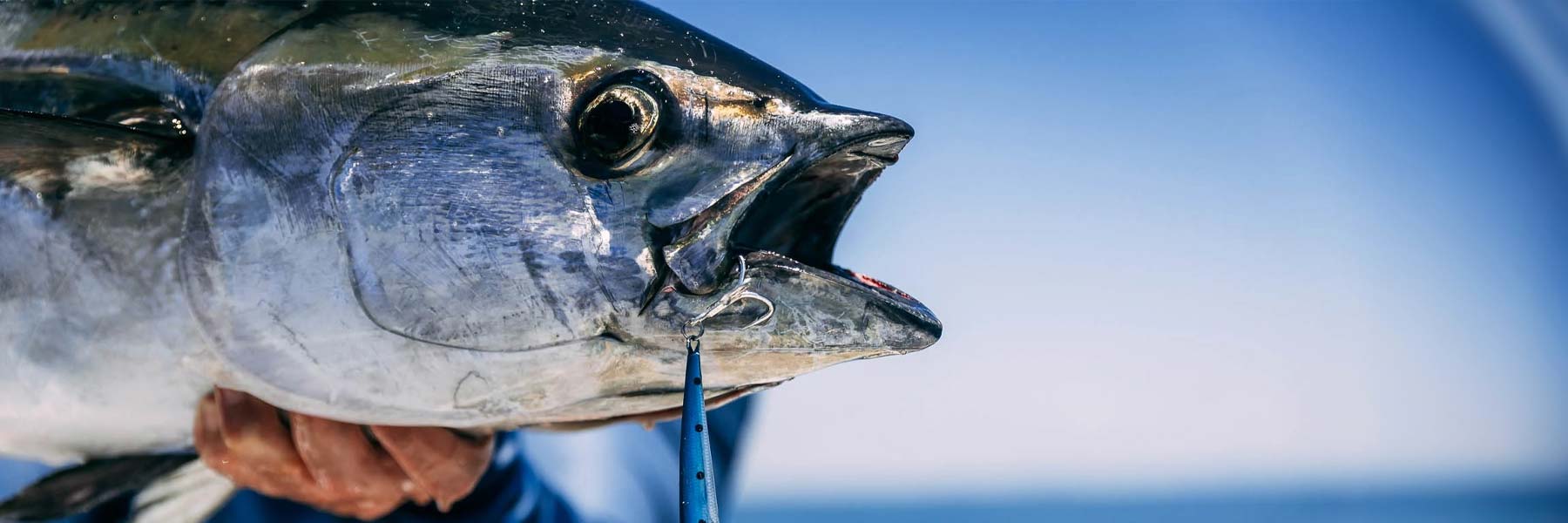 Fishing Tackle by Fish Species