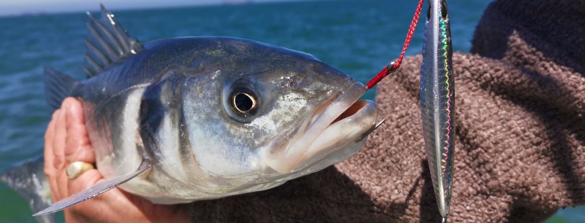 Bass Fishing Tackle, Lures & Gear