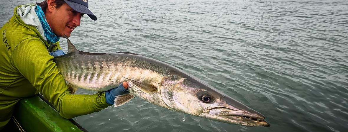 Barracuda Fishing Tackle, Gear & Equipment