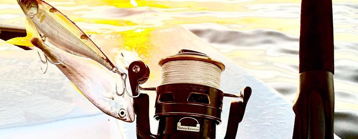 SpiderWire Fishing Line