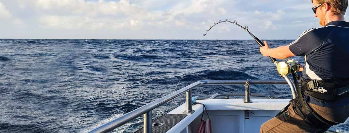 Shark Fishing Harnesses, Fighting Belts & Pads