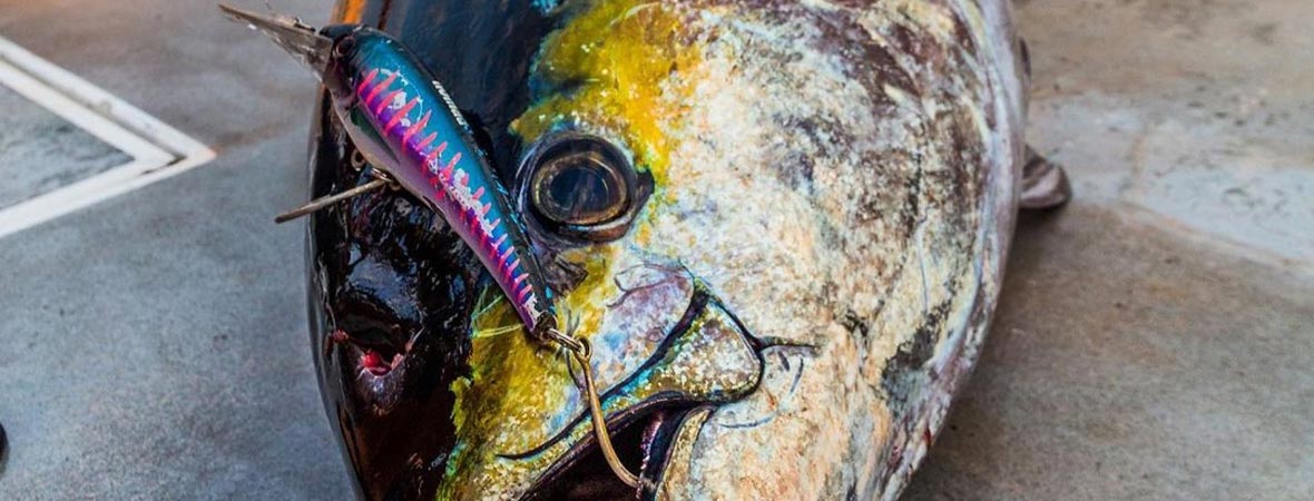 Diving Lures