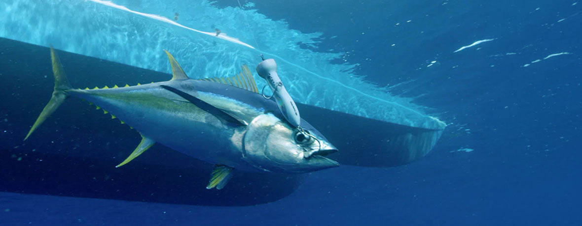 Saltwater Sea Fishing Lures & Jigs