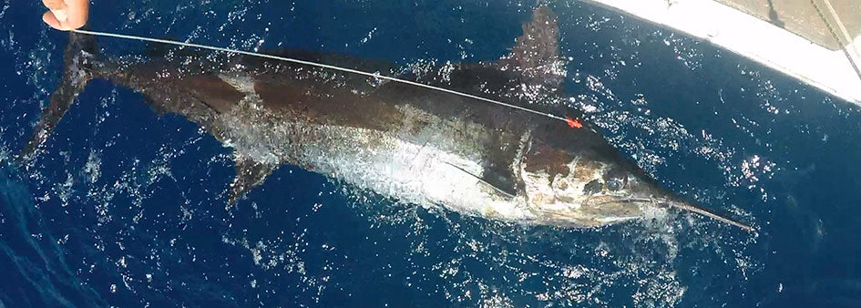 Big Game Fishing Leaders & Wire Materials