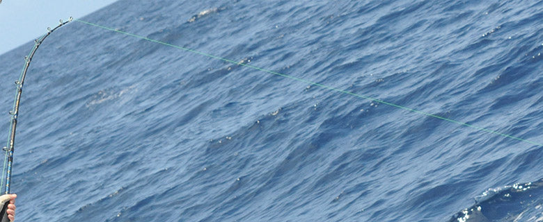 Big Game Fishing Line