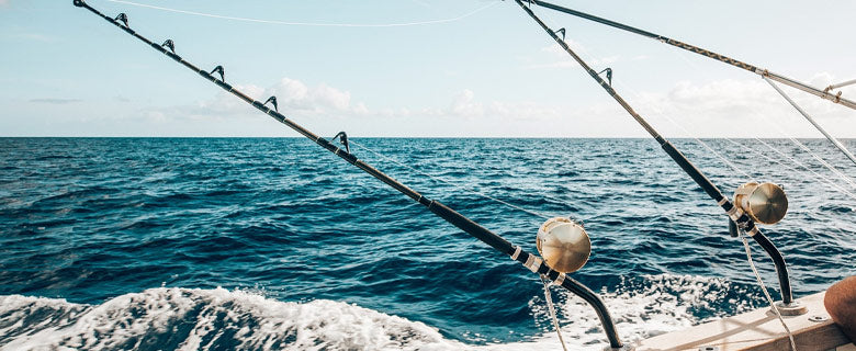 Big Game Fishing Rods