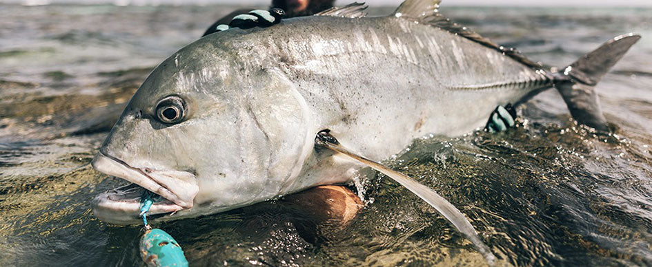 BKK Saltwater Fishing Hooks