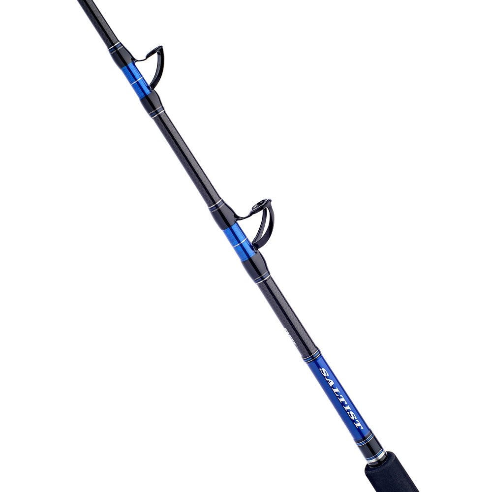 Daiwa Saltist Stand Up Boat Rod