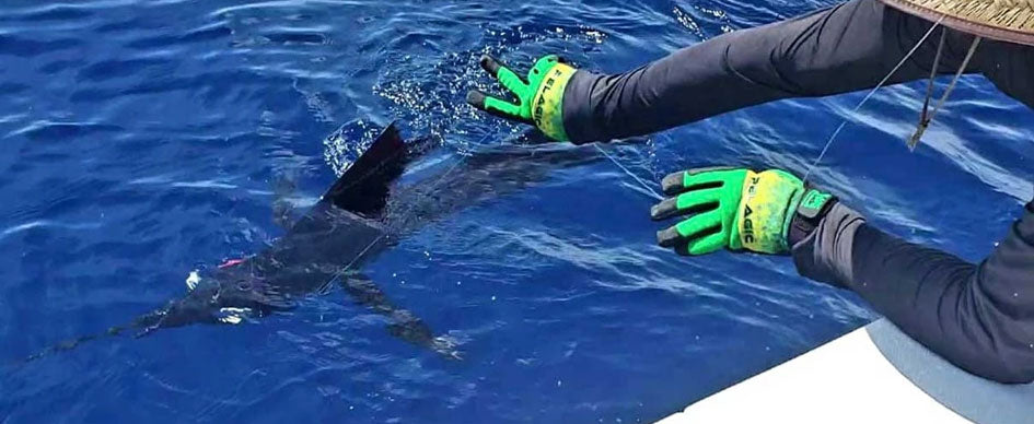 Protective Fishing Gloves