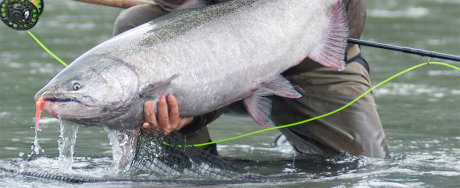 Freshwater Fly Fishing Hooks for Salmon, Sea-Trout & Steelhead