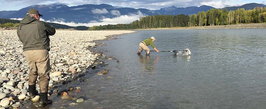 Fishing Nets for Salmon, Sea-Trout & Steelhead