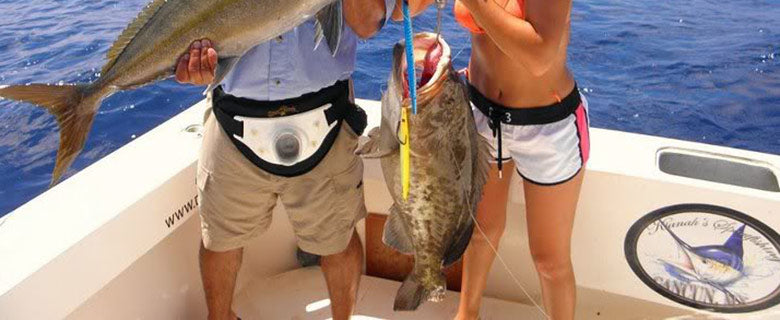 Fighting Harnesses, Belts & Pads