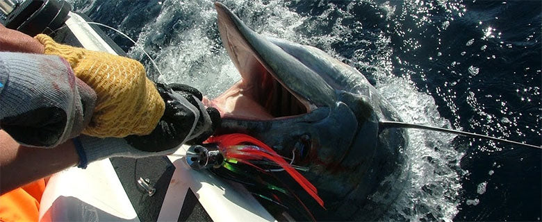 Iland Big Game Fishing Lures