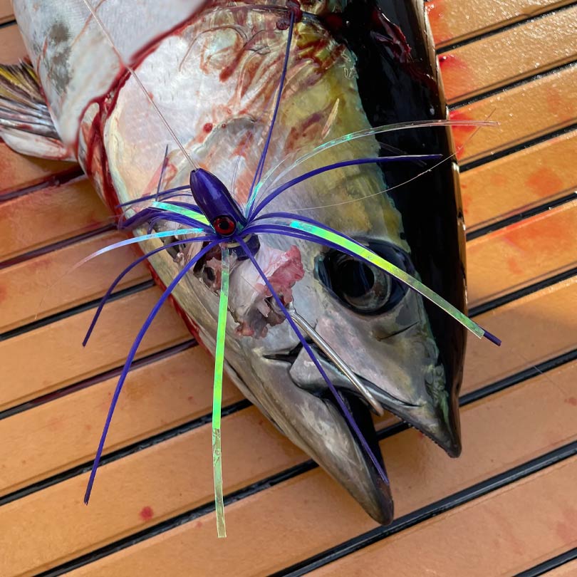 Joe Shute Bluefin & Bluefin Pro Fade Series Trolling Lures