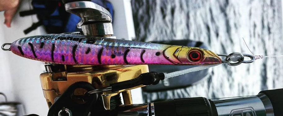 Fishing Jigs & Jig Heads