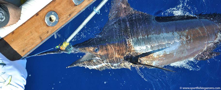 Moldcraft Fishing Lures