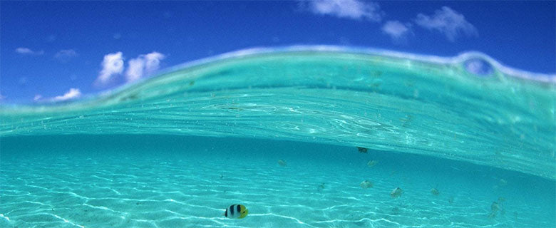 Saltwater Fly Fishing - New Products