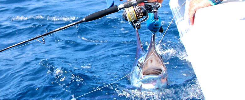 Ocean Tackle International (OTI)