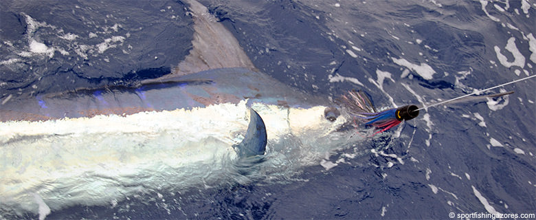 Big Game Fishing Trolling Lures Over 9 Inches