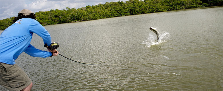 Saltwater Fly Fishing Reels