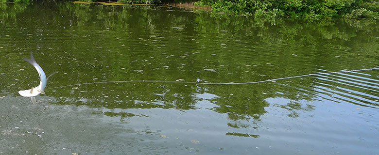 Saltwater Leaders, Tippet & Bite Traces