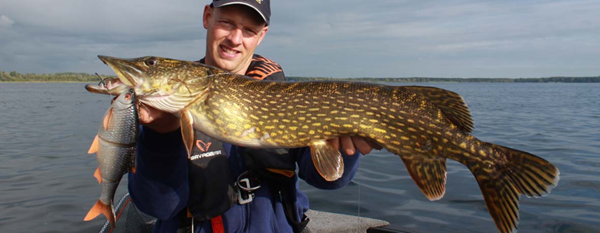 Savage Gear Lures & Fishing Tools