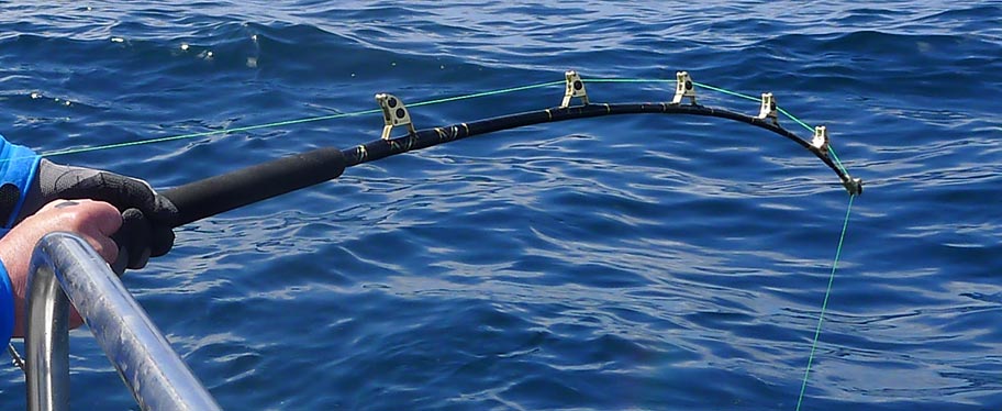 Second Hand Used Fishing Rods - Rok Max