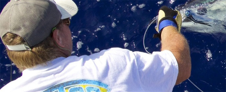 Shark Fishing Gloves