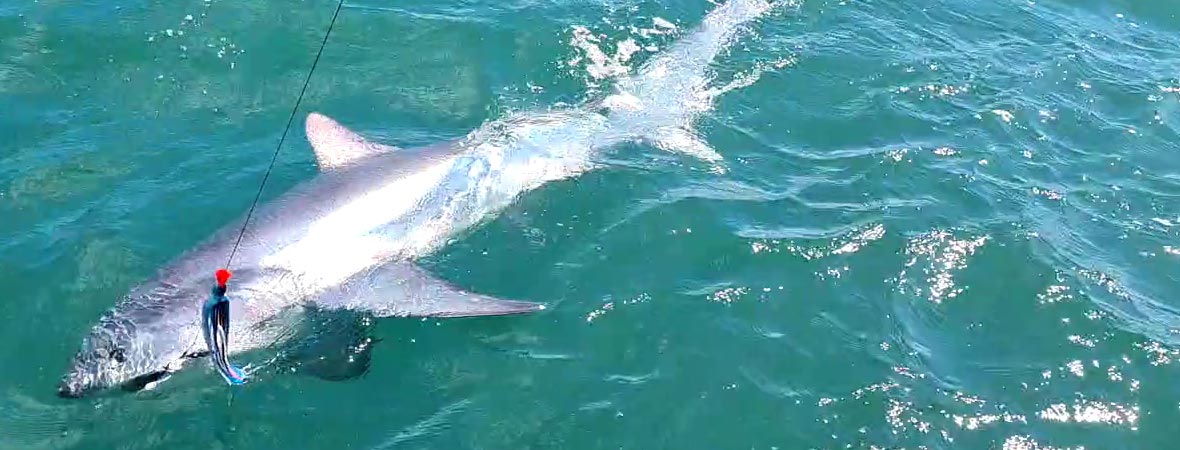 Shark Fishing Wire, Traces & Rigs