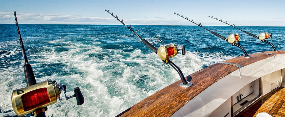 Shimano Fishing Tackle, Rods & Reels