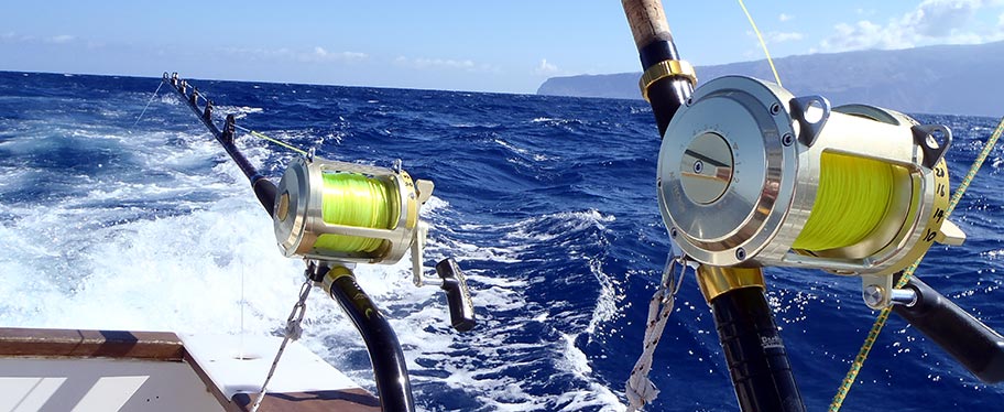 Rok Max Limited Time Special Offers