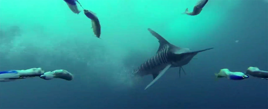 Teasers, Daisy Chains & Spreader Bars for Big Game Fishing