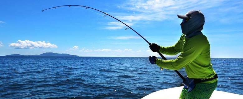 Travel Fishing Rods, Boat Rods & Spinning Rods