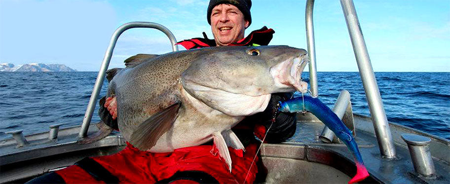 Westin Fishing Lures, Softbaits & Jigs