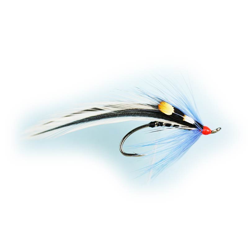 Caledonia Blue Elver Single Fly