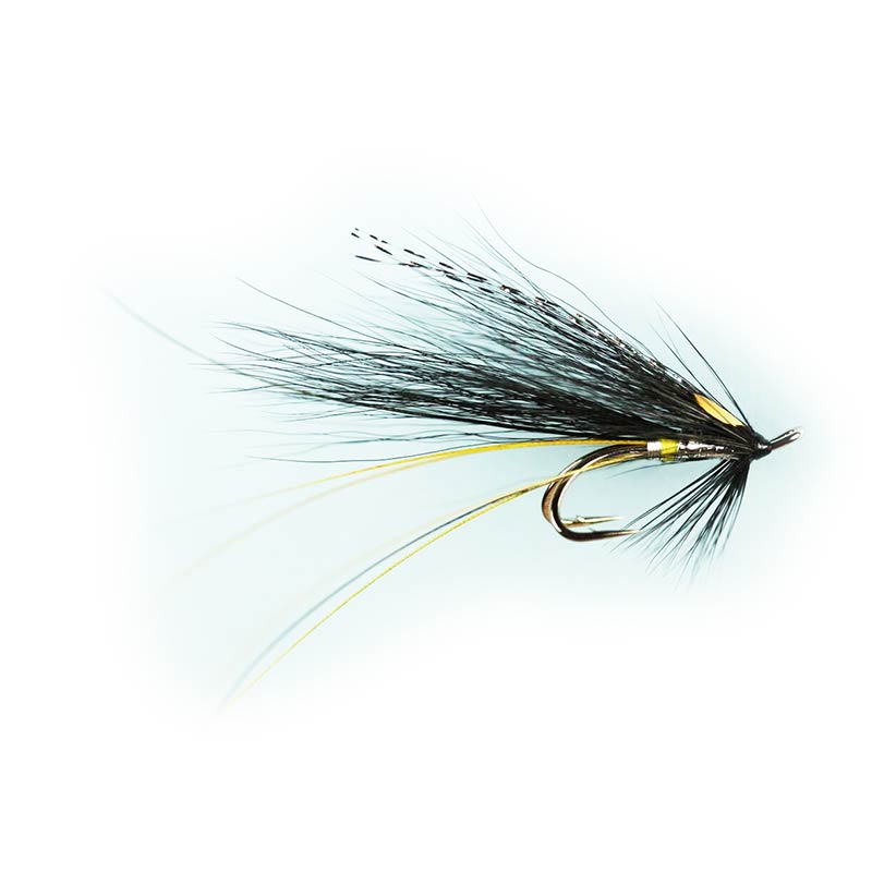 Caledonia Spey Stoat Feeler Double Fly